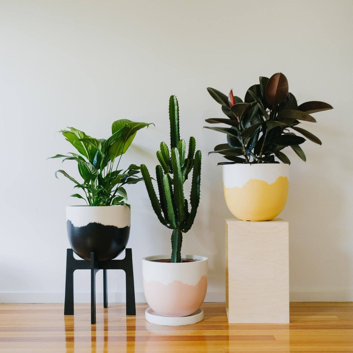 Best selling products | Toast and honey studio