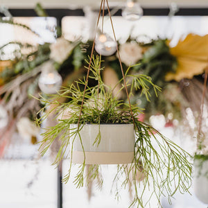 Hanging Planters | Toast and honey studio