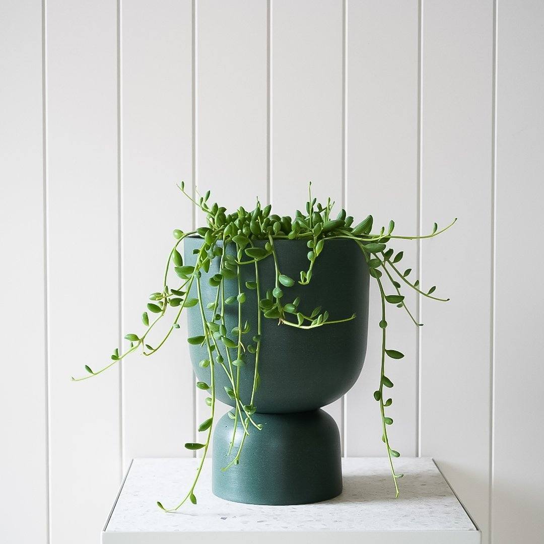 New Arrivals | Toast and honey studio
