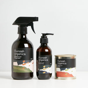 Plant Care | Toast and honey studio