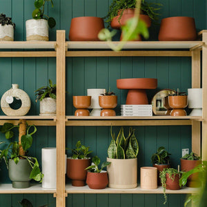 Planters | Toast and honey studio