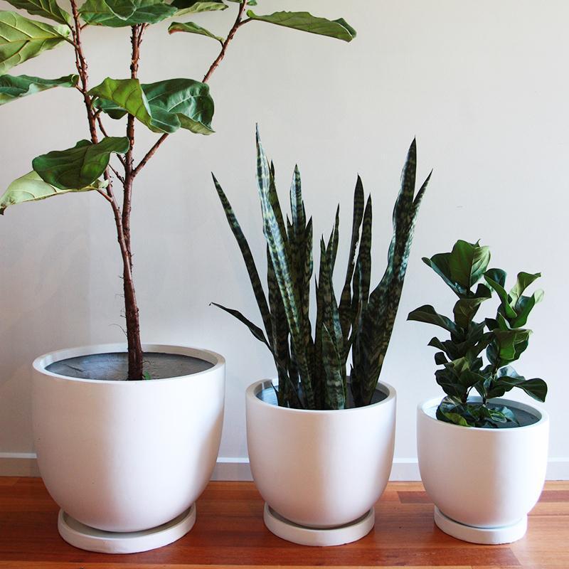 Pot Trays | Toast and honey studio