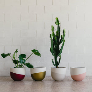 Pots - Classic Shape | Toast and honey studio