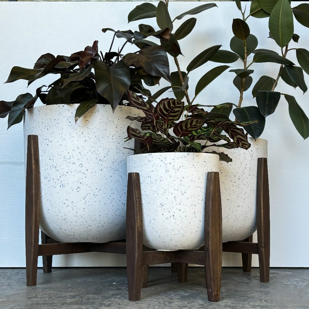 timber crew STAMP PLANTER 黒檀 Zen' Black Terracotta Plant Pots – Nurturing Green