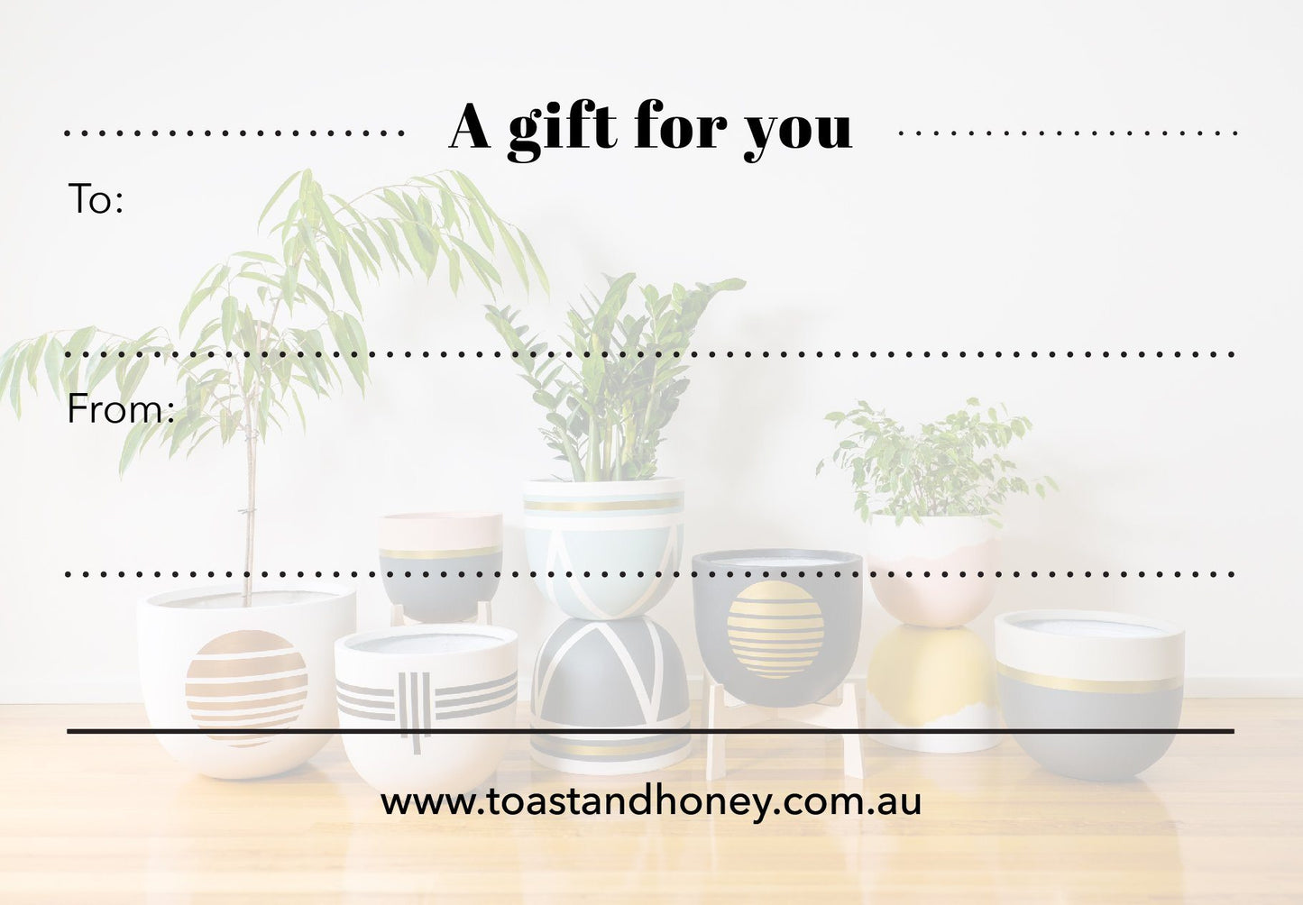 gift card toast & honey studio