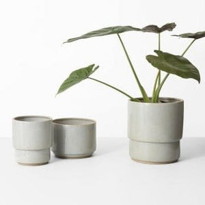 Angus Planter - Coast by Middle of Nowhere - Toast and honey studio