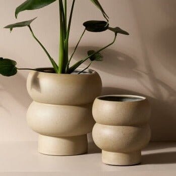 Billie Planter - Dune by Middle of Nowhere - Toast and honey studio
