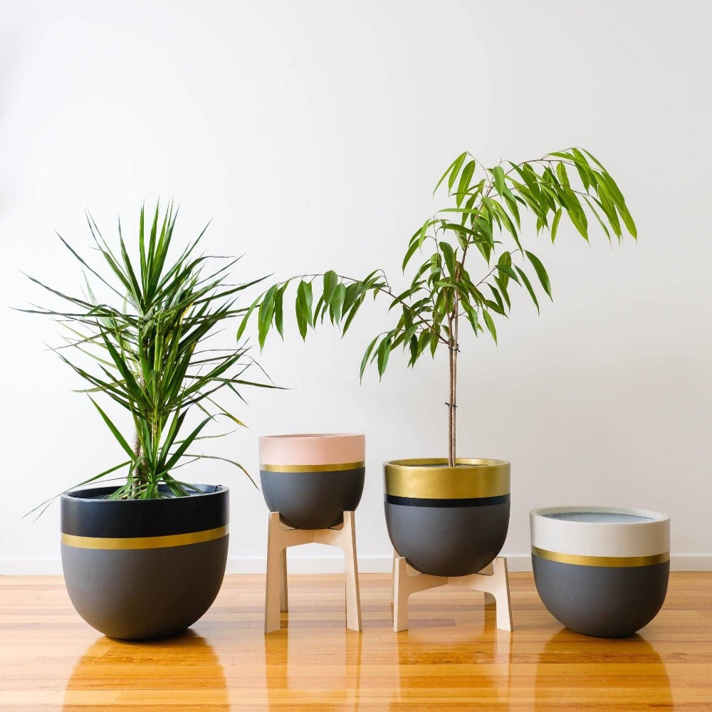 black white and gold plant pot Black Tie Planter