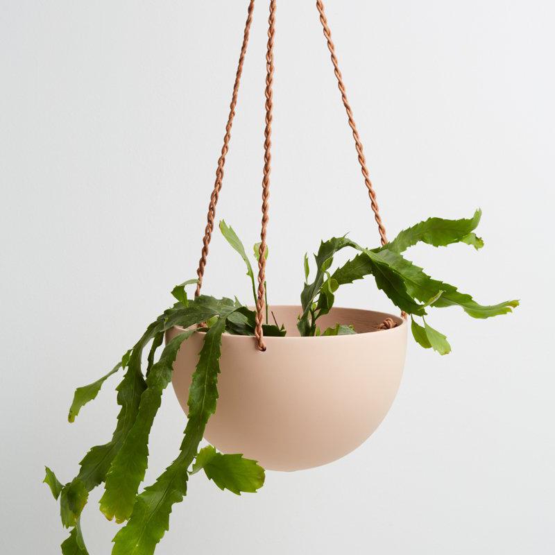 Block Colour Dome Hanging Planter - Salt by Capra Designs - Toast and honey studio