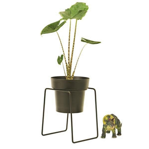 Bud Plant Stand - Black by Bendo - Toast and honey studio