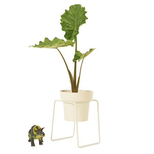 Bud Plant Stand - White by Bendo - Toast and honey studio