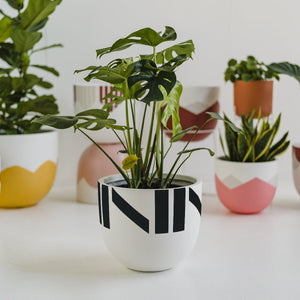 Chloe Planter - Toast and honey studio