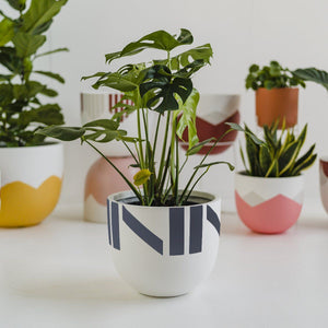 Chloe Planter - Toast and honey studio