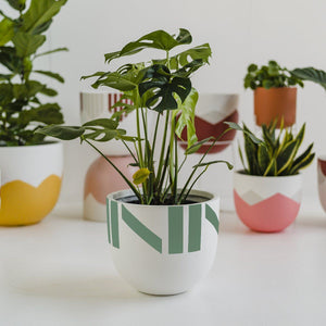 Chloe Planter - Toast and honey studio