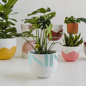 Chloe Planter - Toast and honey studio