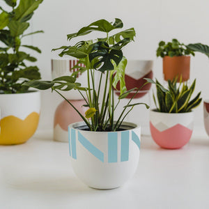 Chloe Planter - Toast and honey studio