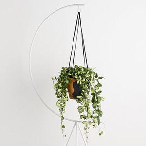 Crescent Plant Stand - White by Capra Designs - Toast and honey studio