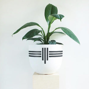 Deco Stripe Planter - Toast and honey studio