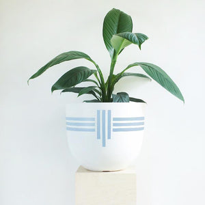 Deco Stripe Planter - Toast and honey studio