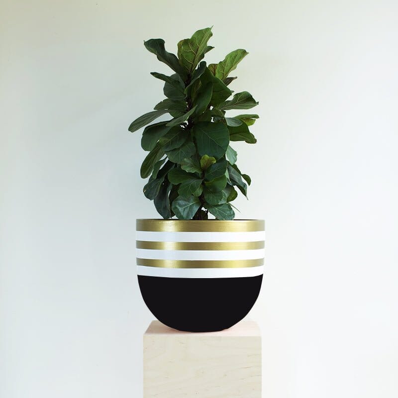 Dip Tease Planter - Black in Small - Toast and honey studio