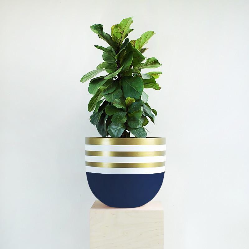 navy and gold plant pot Dip Tease Planter - Gold Stripe