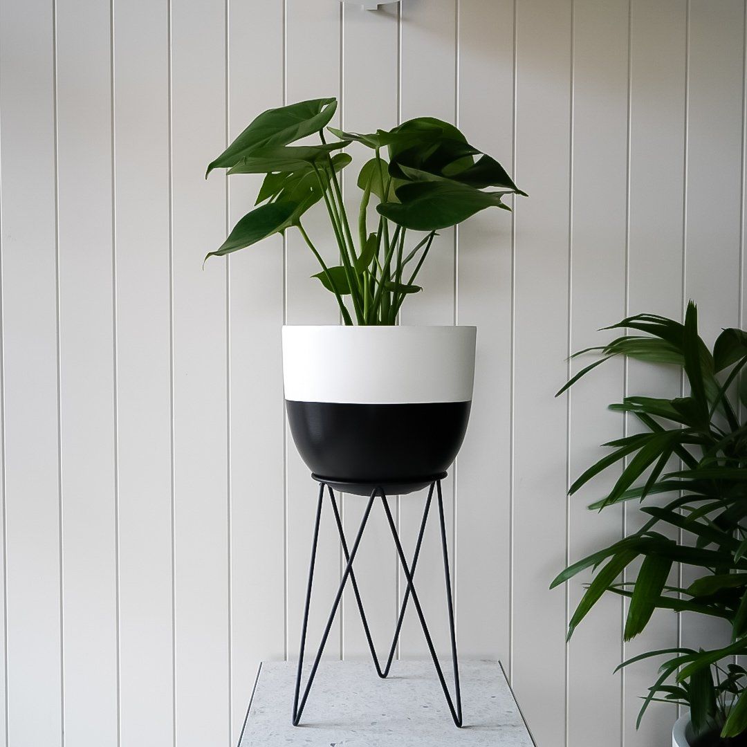 Dipped Planter - Black in Extra Small - Toast and honey studio