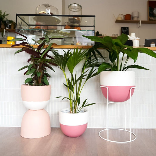 Dipped Planter - Dark Pink in Extra Small - Toast and honey studio