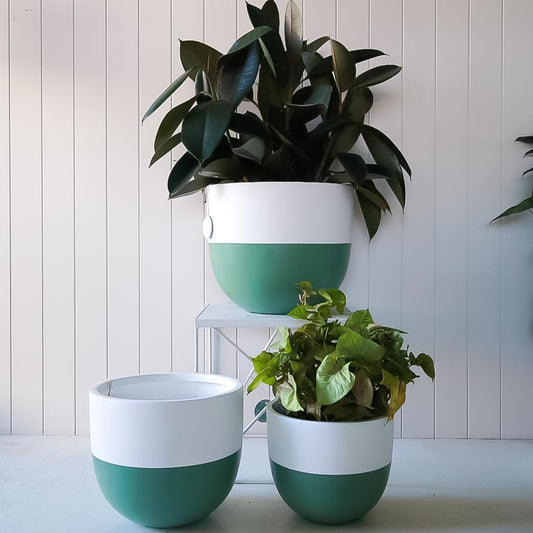 Dipped Planter - Green in Extra Small - Toast and honey studio
