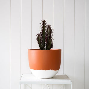 Granita Planter - Toast and honey studio