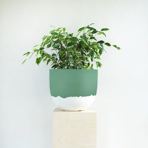 Granita Planter - Toast and honey studio