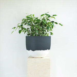 Granita Planter - Toast and honey studio