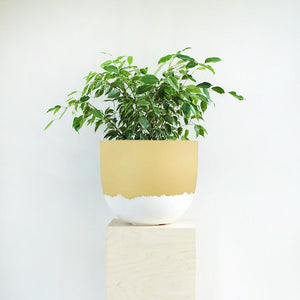 Granita Planter - Toast and honey studio