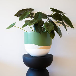 Horizon Planter - Toast and honey studio