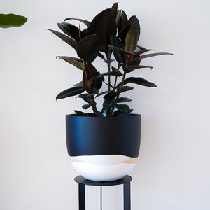 Horizon Planter - Toast and honey studio