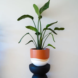 Horizon Planter - Toast and honey studio