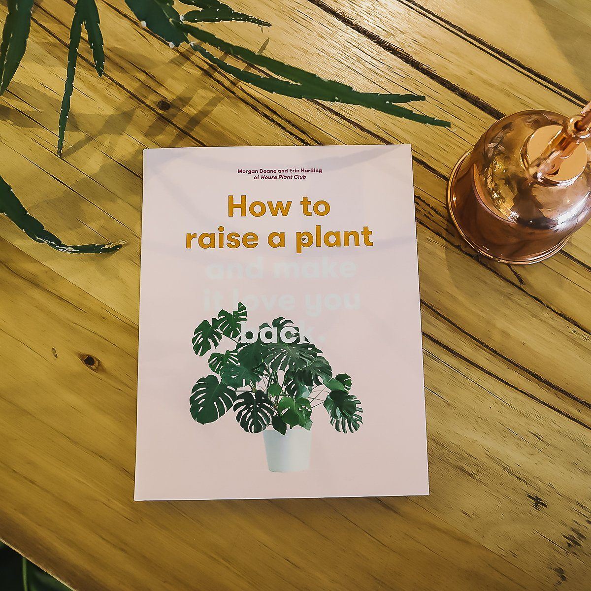 How to Raise a Plant - Toast and honey studio