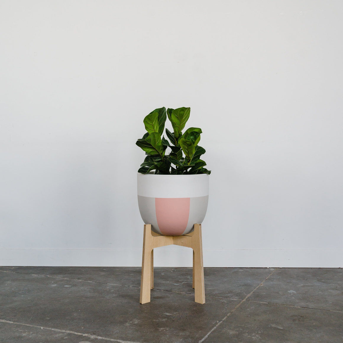 Indie Planter - Toast and honey studio