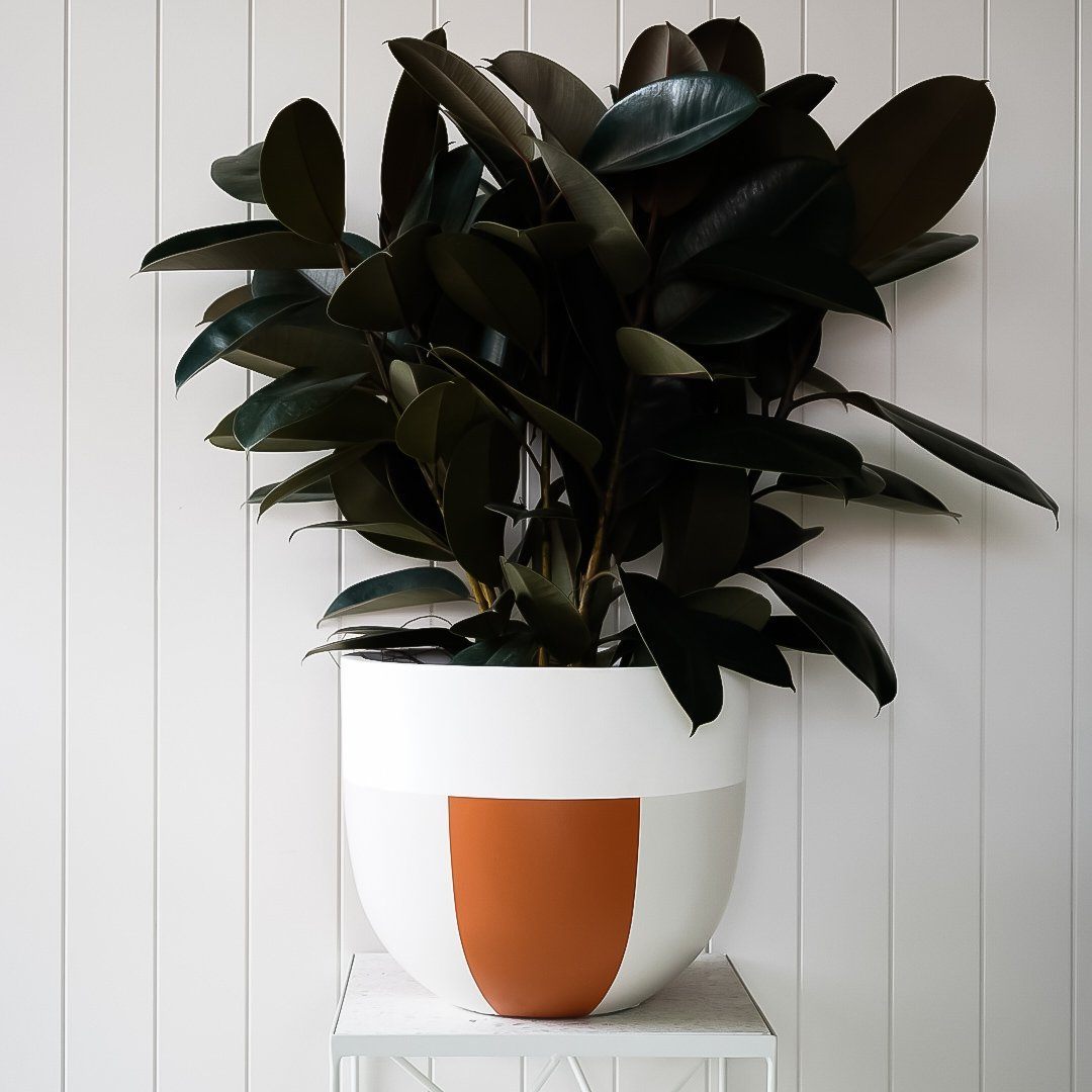 indie plant pots Indie Planter