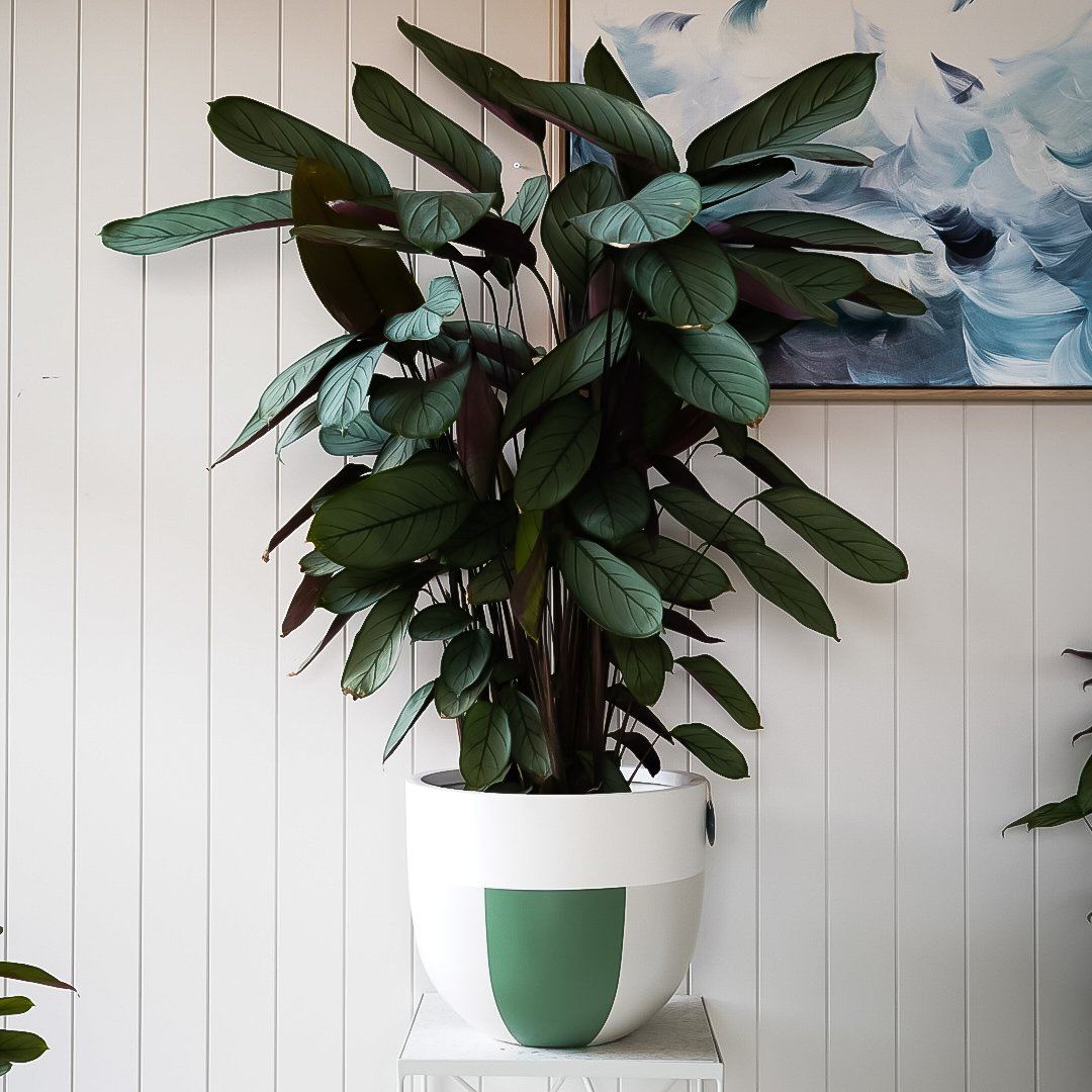 indie plant pots Indie Planter
