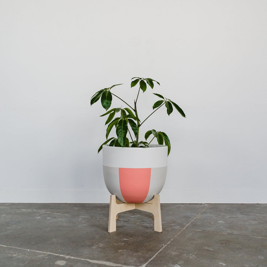 Indie Planter - Toast and honey studio