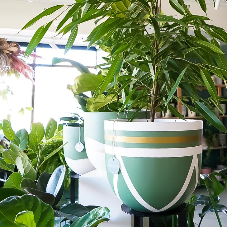 Ivy Planter - Green in Medium - Toast and honey studio