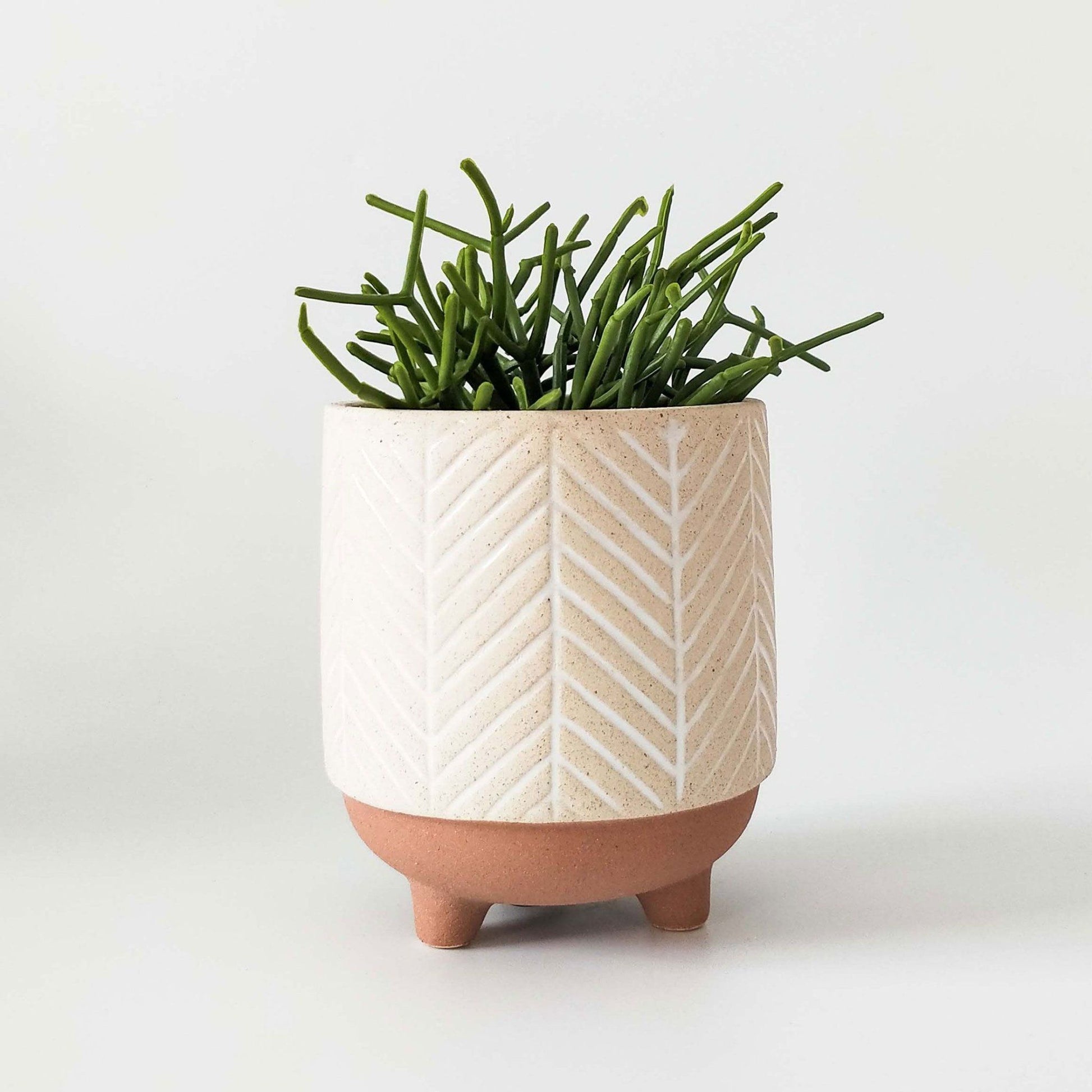 Kyra stripe planter with legs white/terracotta by Urban Products - Toast and honey studio