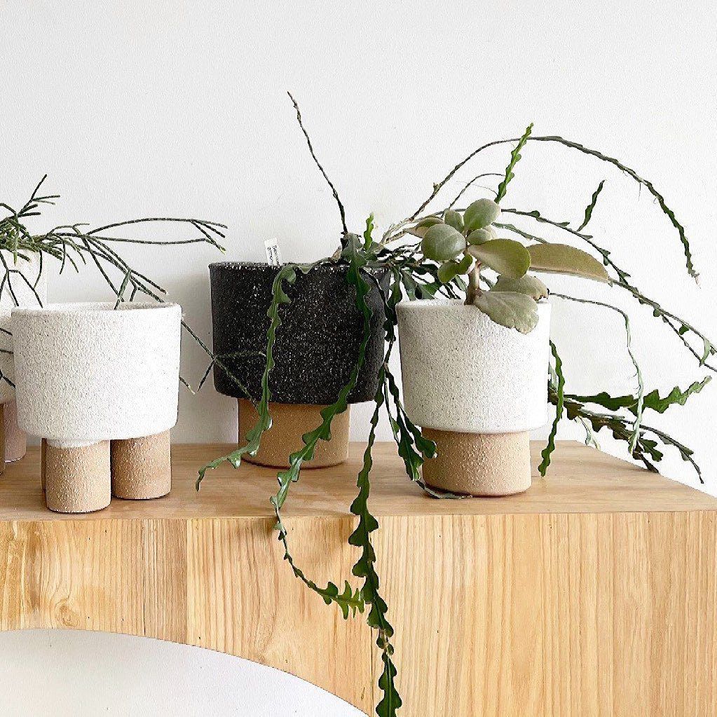 Margot Pot - White by MRD Home - Toast and honey studio