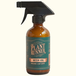 Neem Oil Leaf Shine by The Plant Runner - Toast and honey studio