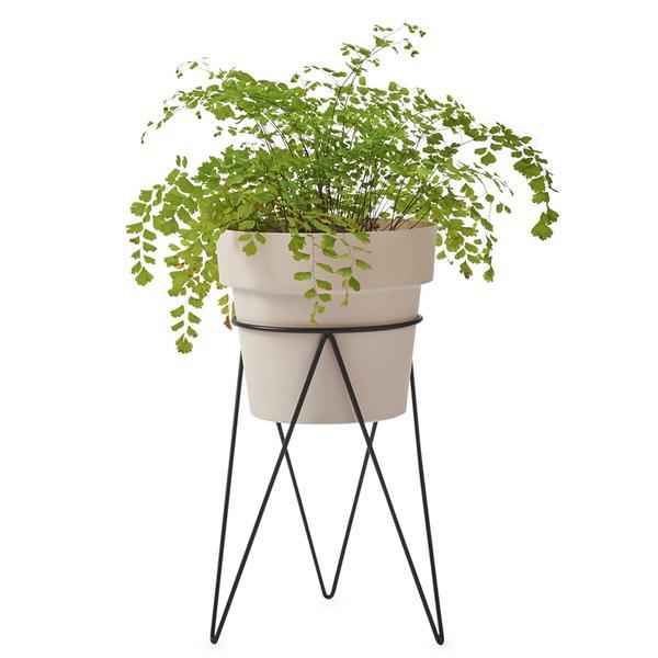 Plant Indoor Plant Stand - Black by Bendo - Toast and honey studio