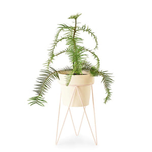 Plant Indoor Plant Stand - Blush by Bendo - Toast and honey studio