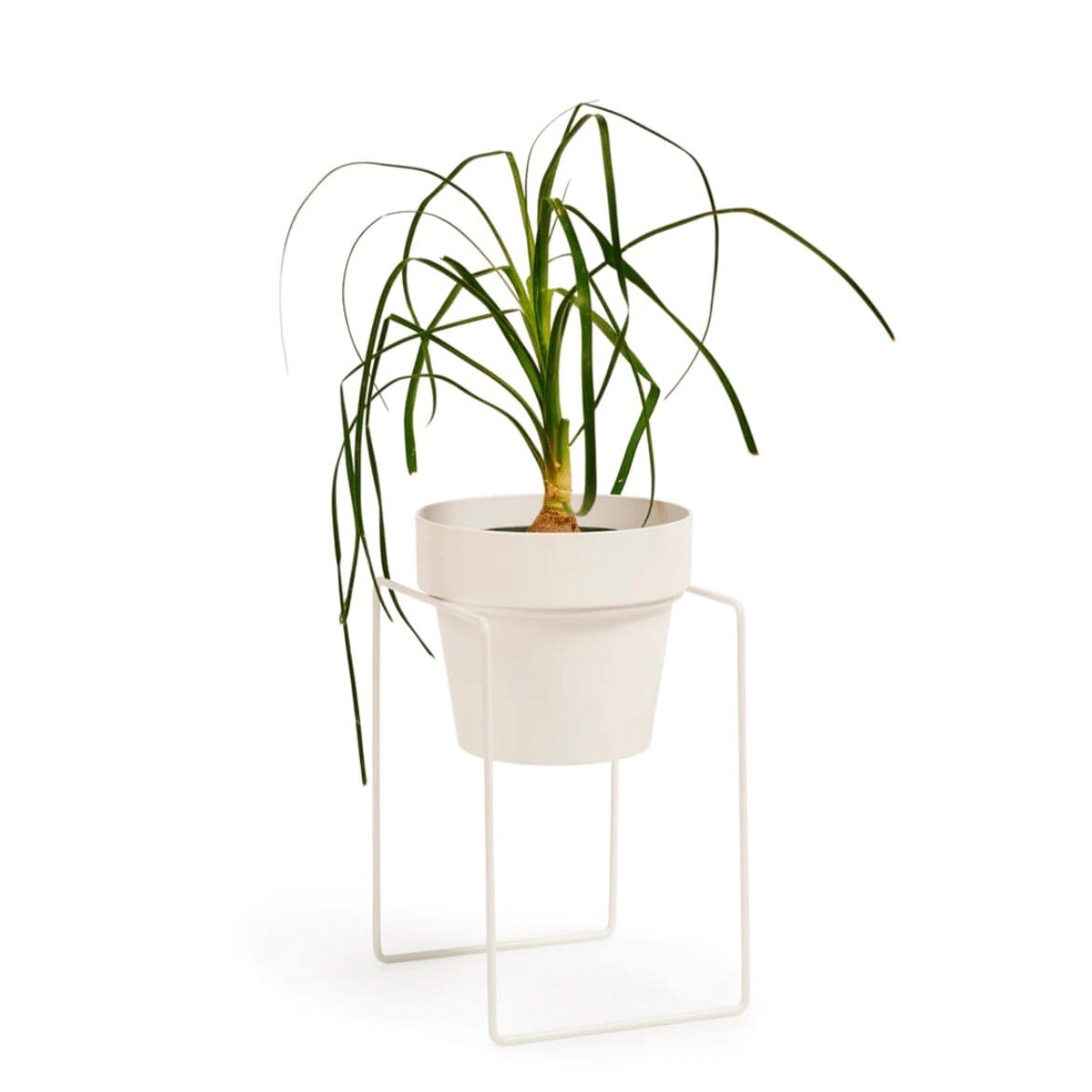 Shrub Plant Stand - White by Bendo - Toast and honey studio