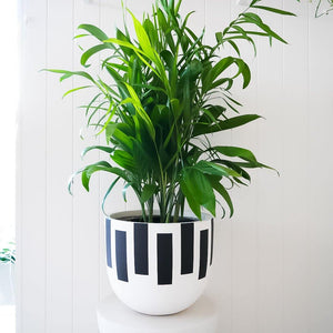 Silhouette Planter - Toast and honey studio