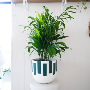 Silhouette Planter - Toast and honey studio