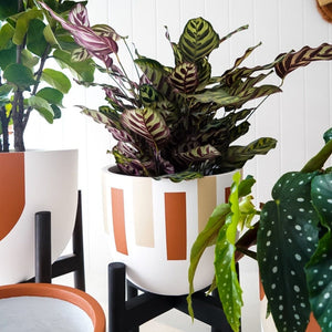 Silhouette Planter - Toast and honey studio